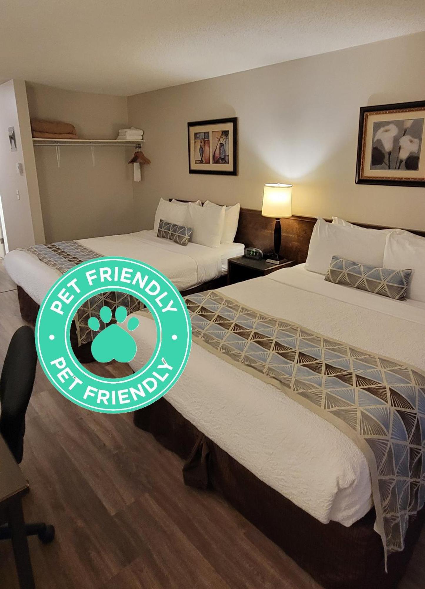 Standard Room 2 Queens Kitchenette Pet Friendly,1676737471:JPEG